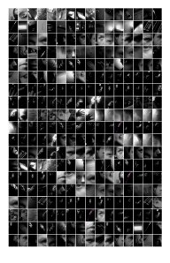 Olivier Yves Lagadec